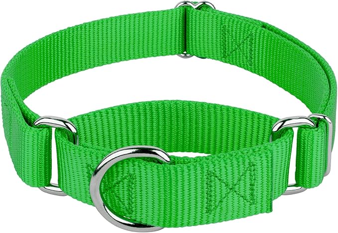 Country Brook Petz - Martingale Dog Collar - Heavy-Duty Training Collar with No Buckle - Service Dog Collar for All Pups - 20 Vibrant Colors (Hot Lime Green, 1 Inch, Medium)