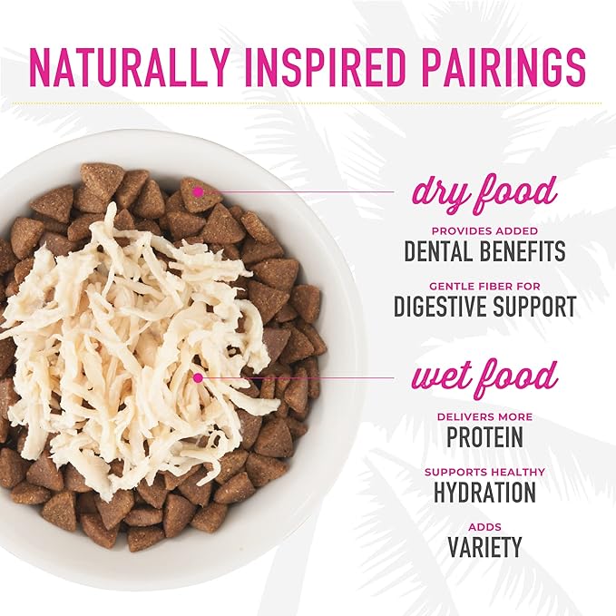 Tiki Cat Born Carnivore Broths, Salmon Recipe, Hydration and Flavor Supplement Cat Food Topper, 1.3 oz. Pouch (Pack of 12)