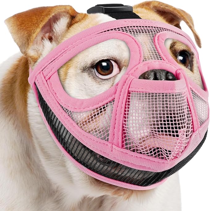 Mayerzon Short Snout Dog Muzzle for French Bulldog with Full Pant Design to Prevent Eating Biting, Soft Mesh Dog Muzzle for Shih Tzu Pug English Bulldog for Grooming Walking, Allow to Drink and Feed