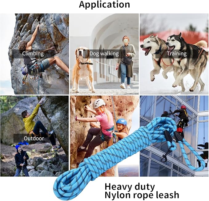 Long Dog Leash for Training 20Ft-Reflective Nylon Rope with Swivel Hook-Recall Agility Lead for Large Small Medium Dogs Outside Walking Hiking-Sky Blue Diam 1/2"