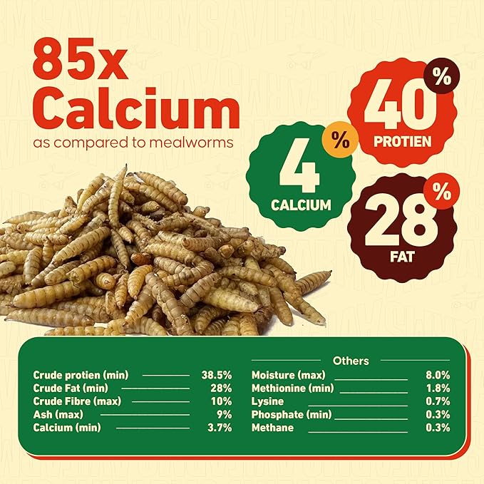10LB Dried Black Soldier Fly Larvae for Chickens – 85X More Calcium Than Mealworms | Non-GMO High Protein Chicken Treats | Natural Worms for Chickens, Laying Hens, Wild Birds & Duck Food