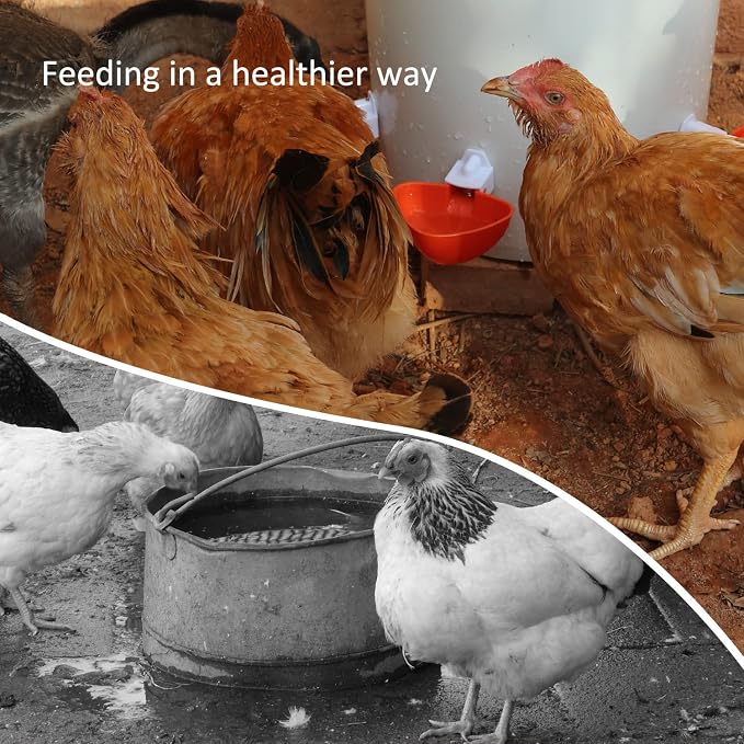 Essilnn DIY Chicken Feeder and Waterer Automatic Chicken Feeder No Waste Poultry Feeder Kit for Buckets Barrels Bins Troughs, 6 Ports and 6 Water Cups