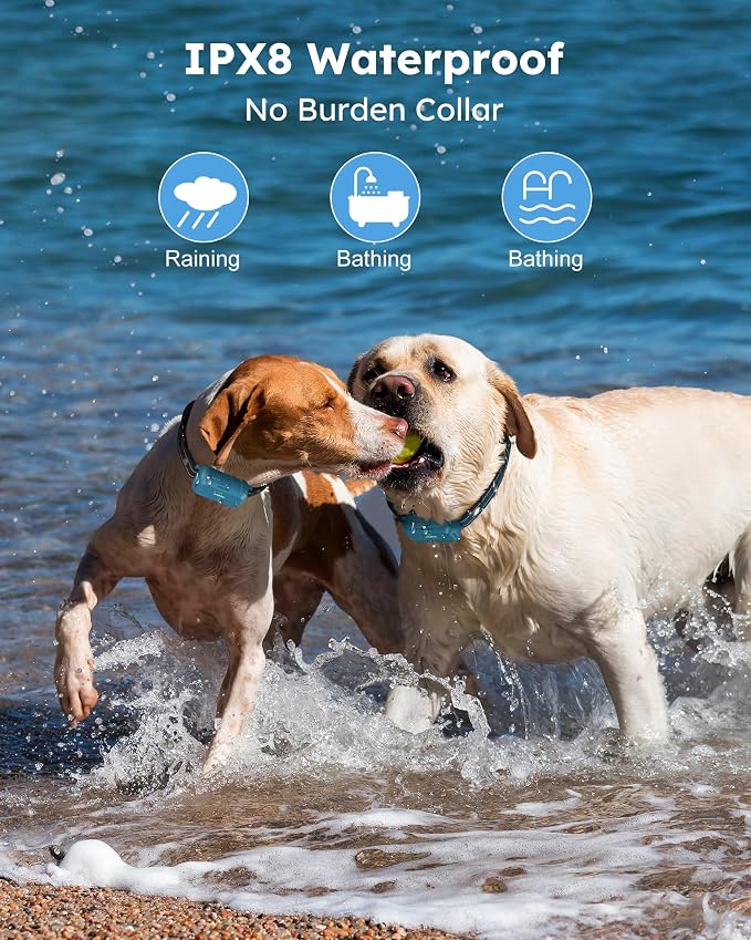 Dog Shock Collar 2 Dogs - 4200FT Dog Training Collars with Remote, IPX8 Waterproof E-Collar for Dogs Training Rechargeable e-Collars for Large Medium Small Dogs (10-120lbs)