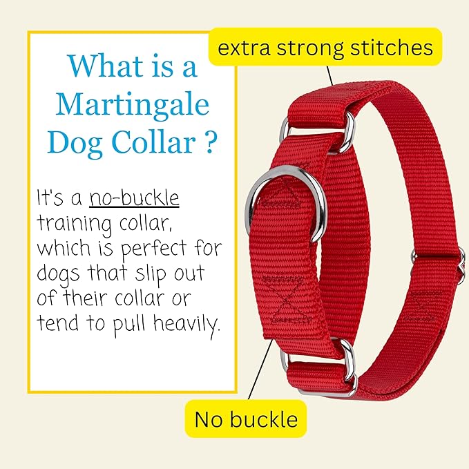 Country Brook Petz - Martingale Dog Collar - Heavy-Duty Training Collar with No Buckle - Service Dog Collar for All Pups - 20 Vibrant Colors (Red, 1 Inch, Medium)