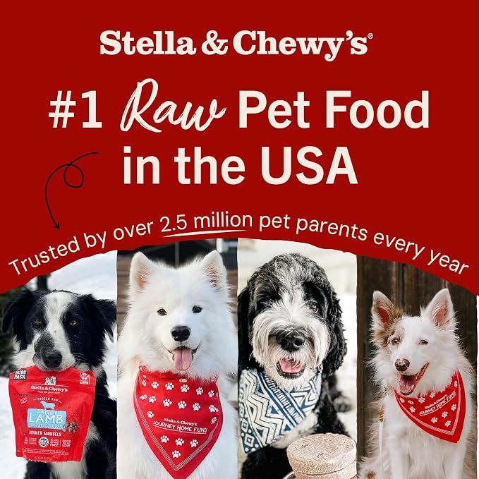 Stella & Chewy's Freeze-Dried Raw Lamb Liver Dog Treats - Single Ingredient, No Additives - Premium Training Treats - Perfect For Picky Eaters - 3oz Bag
