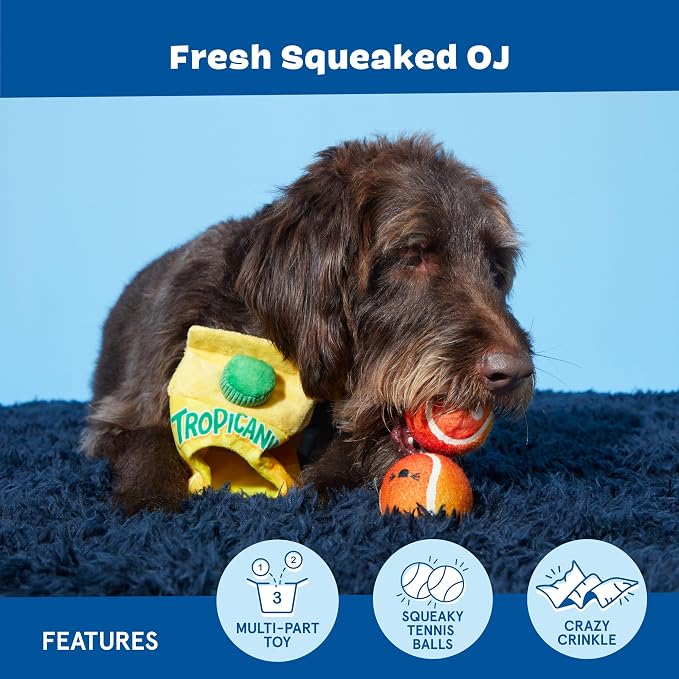 BarkBox Fresh Squeaked OJ Dog Toy – 2-in-1 Plush Toy with Crinkle Carton & Squeaky Tennis Balls – Interactive Fetch & Treat-Hiding Toy for Medium Dogs