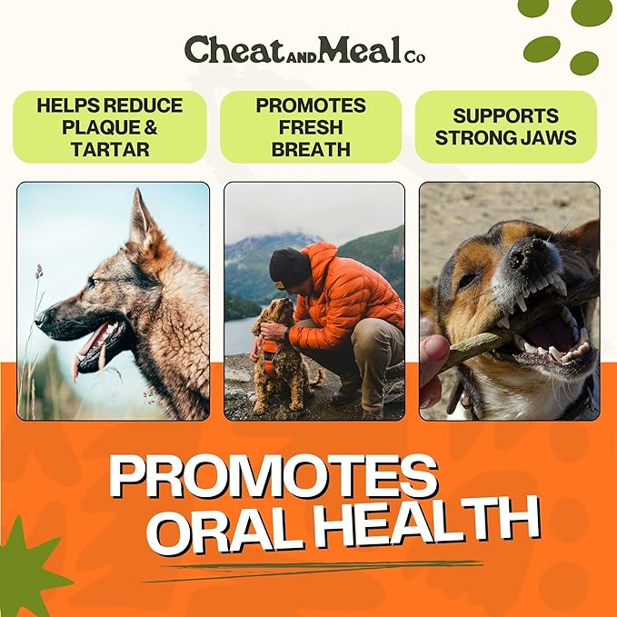 Bully Sticks for Large Dogs - Chew Toys for Aggressive Chewers, Thick 6 Inch (5 Count), 100% Grass-Fed, Single Ingredient, Rawhide-Free, Free Range and Very Long Lansting