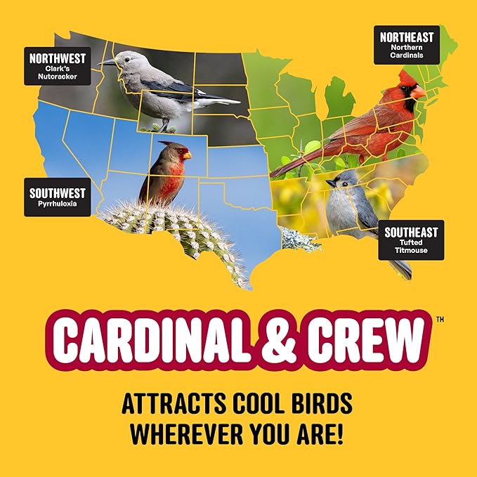 Cool Birds Cardinal & Crew Wild Bird Seed – 10 lb. Black Oil Sunflower, Sunflower Hearts & Safflower Blend for Cardinals, Grosbeaks & Chickadees – Bird Food for Outside Feeders