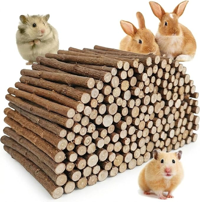 Jorewood 1 LB (16oz) Natural Apple Wood Chew Sticks for Rabbits, Hamsters, Chinchillas - Extra Hard Teeth Grinding Toy | Untreated, Safe & Long-Lasting Rodent Chews
