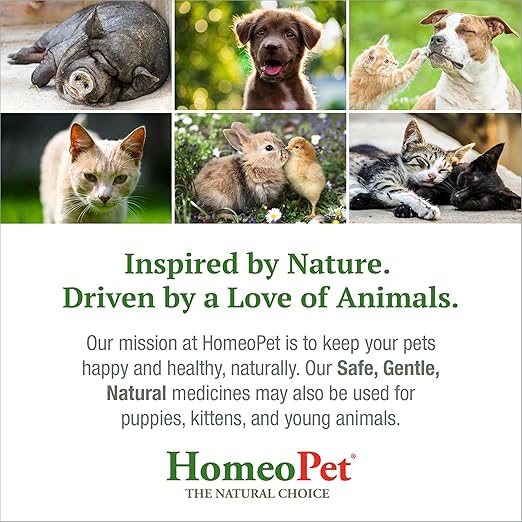 HomeoPet Feline Digestive Upsets, Safe and Natural Cat Digestive Support, 15 Milliliters