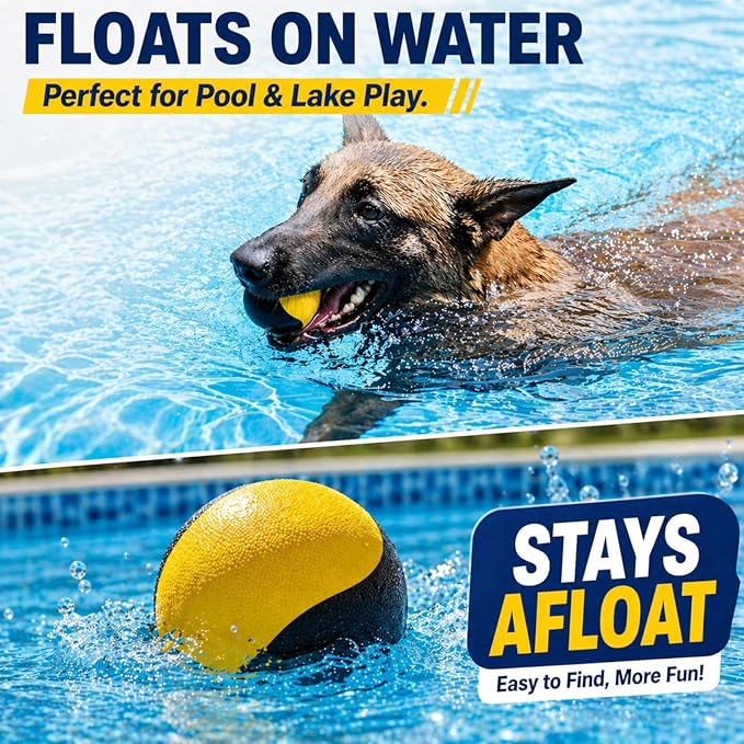 Squeaky Dog Ball for Fetch – Floating Rubber Ball for Water Play, Easy to Spot, Keeps Dogs Engaged, Durable for Pool, Lake & Outdoor Use, 2.7 Inch for Small & Medium Dogs
