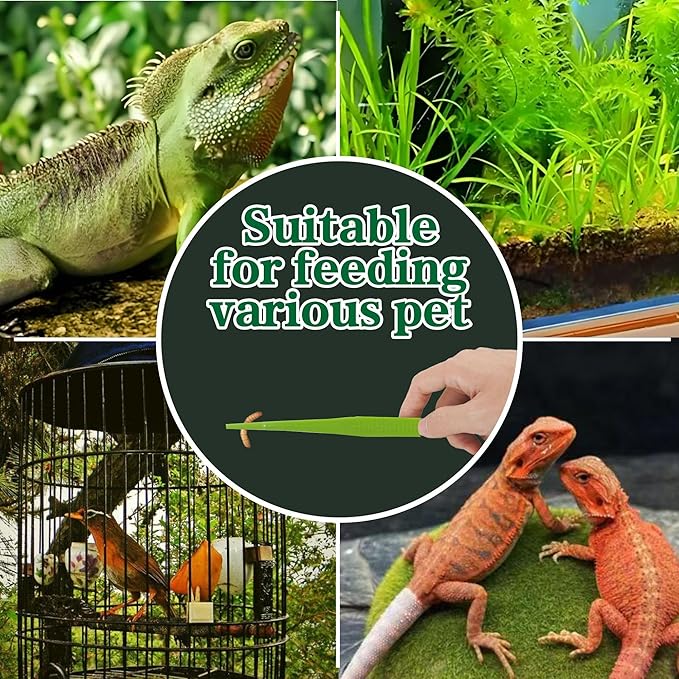 4-Pack Reptile Feeding Tongs Set - Hygienic Anti-Slip Green Tweezers for Bearded Dragons, Lizards, Snakes, Aquariums & Small Animals(Five Colors to Choose from)