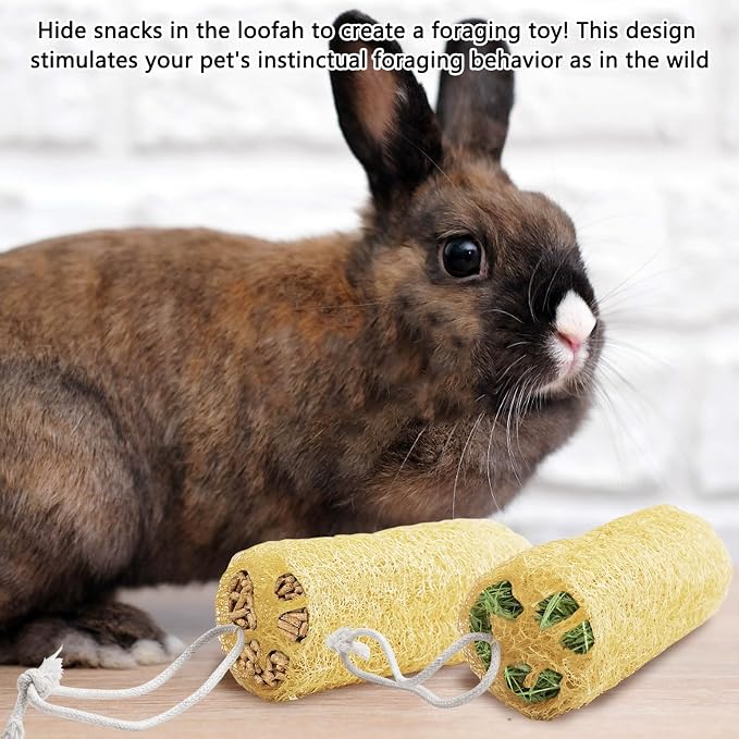 12 Pcs Rabbit Chew Toys Natural Bunny Loofah Chew Toy Chinchilla Teeth Grinding Toys Guinea Pig Fibre-Rich Treats Enrichment Bunny Accessories for Rabbits Hamster (S)