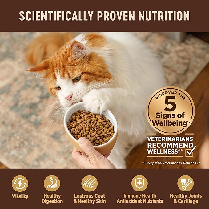 Wellness CORE Adult Dry Cat Food, Natural, Grain Free Kibble, Turkey, Turkey Meal and Duck Recipe, 5 lb Bag