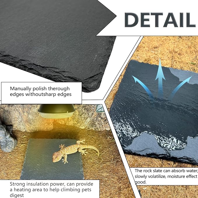 Reptile Basking Platform 6.0''x6.0'' Turtle Rock Plate Slate Food Feeding Dish Bowl Bathing Resting Terrace for Chameleon Lizard Bearded Dragon Gecko Snake Frog Newt (6.0''/15CM)
