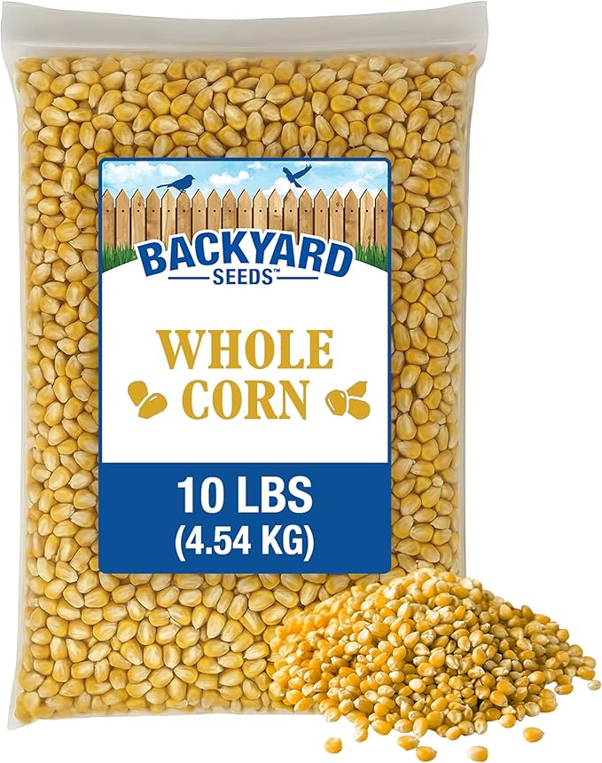 CountryMax Backyard Seeds Whole Corn 10 lbs - High-Energy Animal Feed for Chickens, Squirrels, Deer & Wild Birds, Ground Feeding, High Protein
