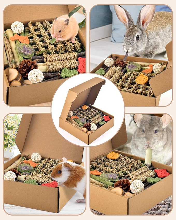 Bissap Rabbit Chew Toy, Natural Bunny Treats Snacks with Timothy Hay Water Grass Mat Chewing Bamboo Apple Sticks Box for Guinea Pigs Chinchillas Hamsters Gerbils and Other Small Pets Teeth Grinding