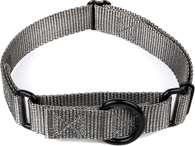 Country Brook Petz - Martingale Dog Collar - Heavy-Duty Training Collar with No Buckle - Service Dog Collar for All Pups - 20 Vibrant Colors (Charcoal, 5/8 Inch, Extra Small)