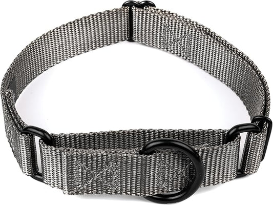 Country Brook Petz - Martingale Dog Collar - Heavy-Duty Training Collar with No Buckle - Service Dog Collar for All Pups - 20 Vibrant Colors (Charcoal, 5/8 Inch, Extra Small)