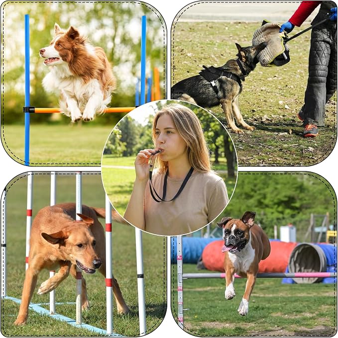 2 Pack Dog Whistle, Metal Dog Training Whistles to Stop Barking Neighbors Dogs, Ultrasonic Silent Adjustable Training Whistle with Lanyard (Black+White)