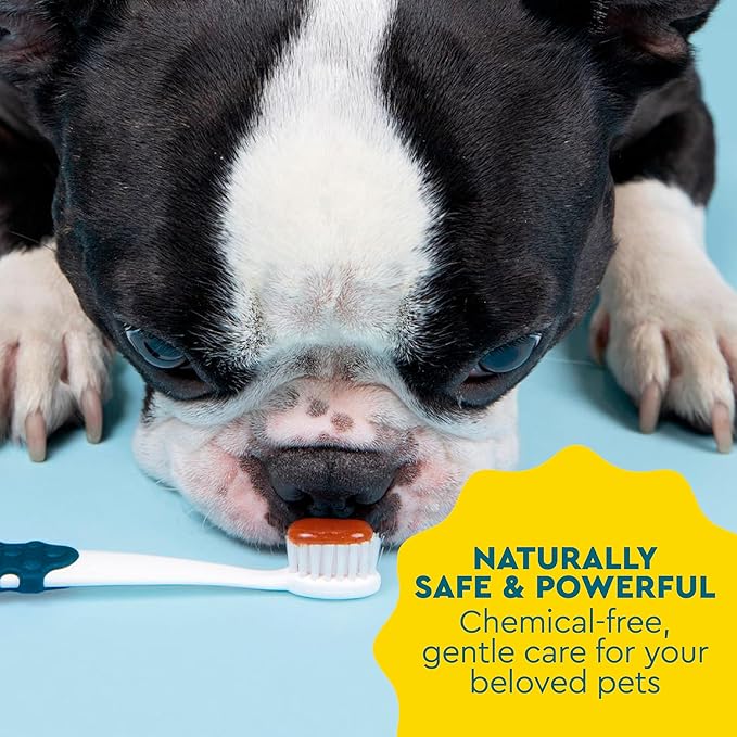 RADIUS USDA Organic Canine Pet Toothpaste 1 Unit, 3 oz, Non Toxic Toothpaste for Dogs, Designed to Clean Teeth and Help Prevent Tartar and Remove Plaque, Xylitol Free