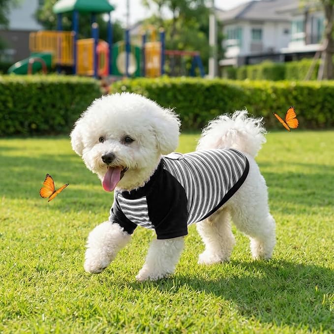 Pistha Dog Tshirt Striped Shirts for Dogs Clothes Stretchy Puppy T-Shirts with Metal Buckle for Small Medium Dog Boys Girls (Black, X-Small)
