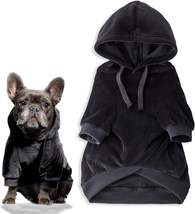 Pet Passion Cooper II Organic Cotton Velour Dog Hoodie Pet Coat for Small, Medium and Large Dogs, Black, XXX-Small (up to 5lbs)