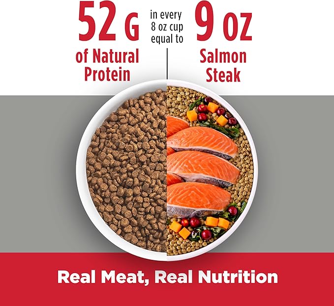 Nulo Freestyle Adult Trim Dry Cat Food - Salmon & Lentils, High Protein, Grain Free, Weight Management Kibble with Probiotics & L-Carnitine, 2lb Bag