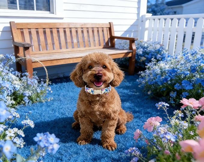 Lionet Paws Floral Dog Collar- Cute Spring Wildflowers Daisy Forget Me Not Dog Collars with Plastic Buckle, Light Adjustable Dog Collars for Small Medium Dogs