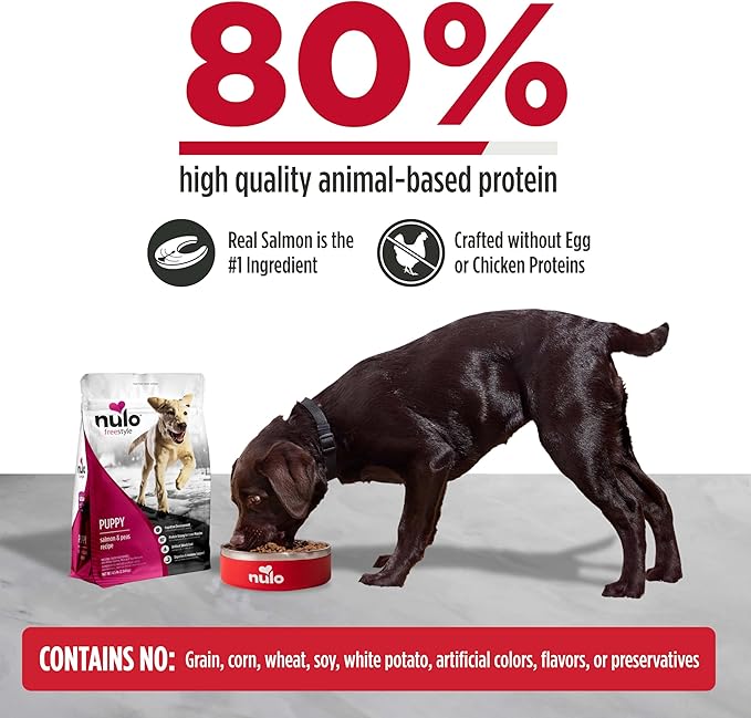 Nulo Freestyle Dry Puppy Food - Salmon & Peas, Premium Grain Free Dog Food for Puppies, Natural, High Protein Kibble with DHA, Omega 3 & Probiotics, for Small and Medium Breeds, 6lb Bag
