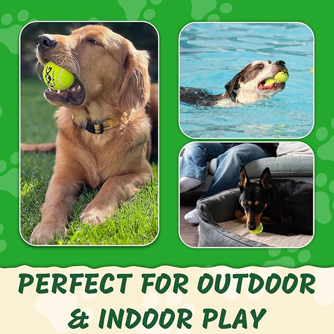 INSUM Squeaky Tennis Balls for Dogs Pack of 4 Easy Catching Dog Fetch Balls (Squeaky-Yellow)