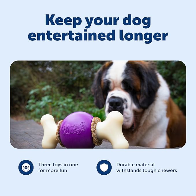 PetSafe Busy Buddy Bouncy Bone, Treat Holding Dog Toy, Large, Best for Dogs Over 75 Lb.