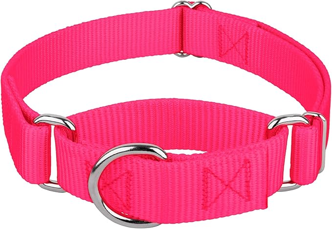 Country Brook Petz - Martingale Dog Collar - Heavy-Duty Training Collar with No Buckle - Service Dog Collar for All Pups - 20 Vibrant Colors (Hot Pink, 3/8 Inch, 2XS)