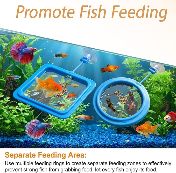 5pcs Fish Feeding Ring, Betta Feeding Ring and Hammock, Feeding Ring for Fish Tank and Aquarium, Assorted Blue Circular and Square Rings with Grass and Tunnel Accessories for Fish Feeding and Resting