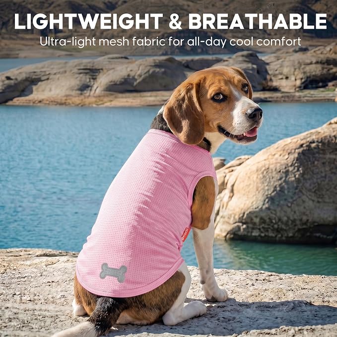 KYEESE 2Pack Dog Shirt, Lightweight Sun Protection Dog T Shirts for Small Medium Dogs Girl, Breathable Mesh Tank Top Sleeveless Pet Reflective Vest, Soft Summer Dogs Clothes, Lemon+Pink, XL