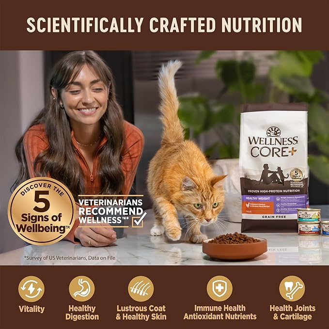Wellness CORE+ Digestive Health Adult Dry Cat Food, Natural, Wholesome Grains Kibble, Salmon and Rice Recipe, 5 lb Bag