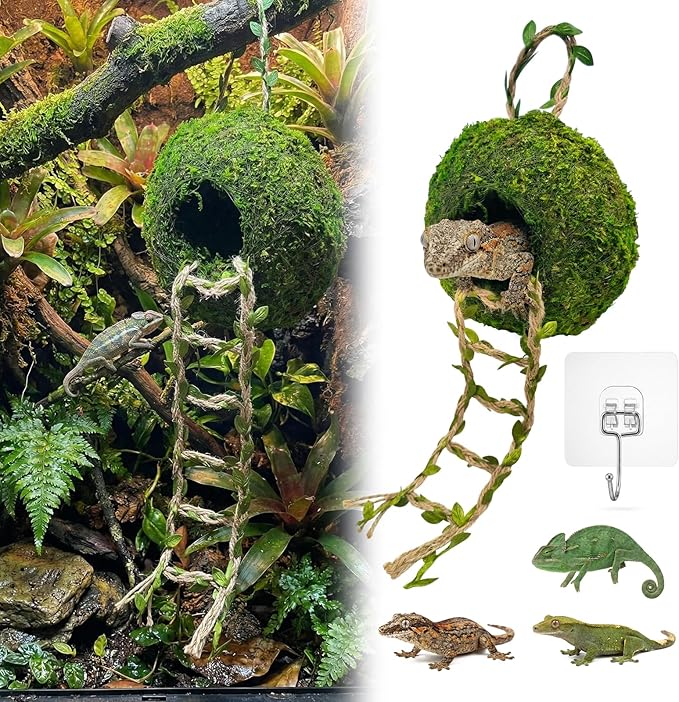 Moss Cave Hideout with Hanging Rope & Hemp Climbing Ladder – Natural Reptile Tank Decor Accessories for Crested Geckos, Chameleons, Tree Frogs, Leopard Geckos & Snakes. Terrarium & Vivarium Decor (6")