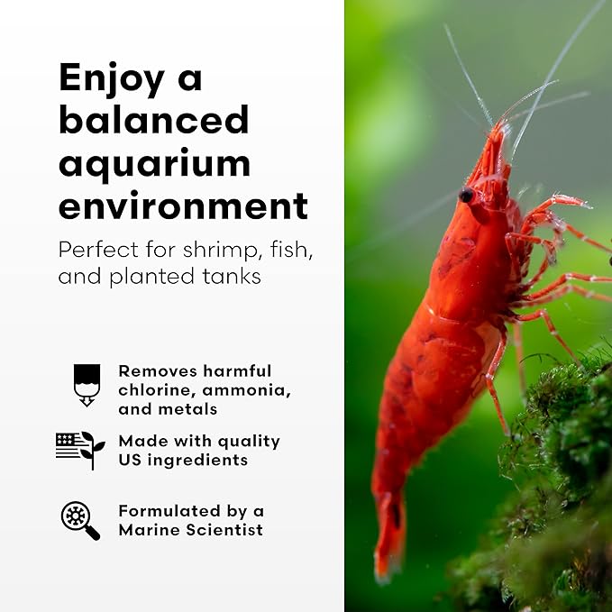 Brightwell Aquatics Shrimp Prep – Water Conditioner for Freshwater Shrimp & Aquariums – Removes Chlorine, Ammonia & Heavy Metals – Promotes Healthy Habitat, 500 ml