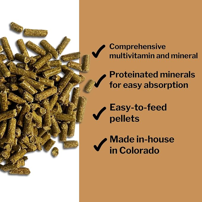 Formula 707 Daily Essentials Ration Balancer Supplement for Horses, 6 lb Bag – 48 Servings – Concentrated Complete Vitamin & Mineral Pellet