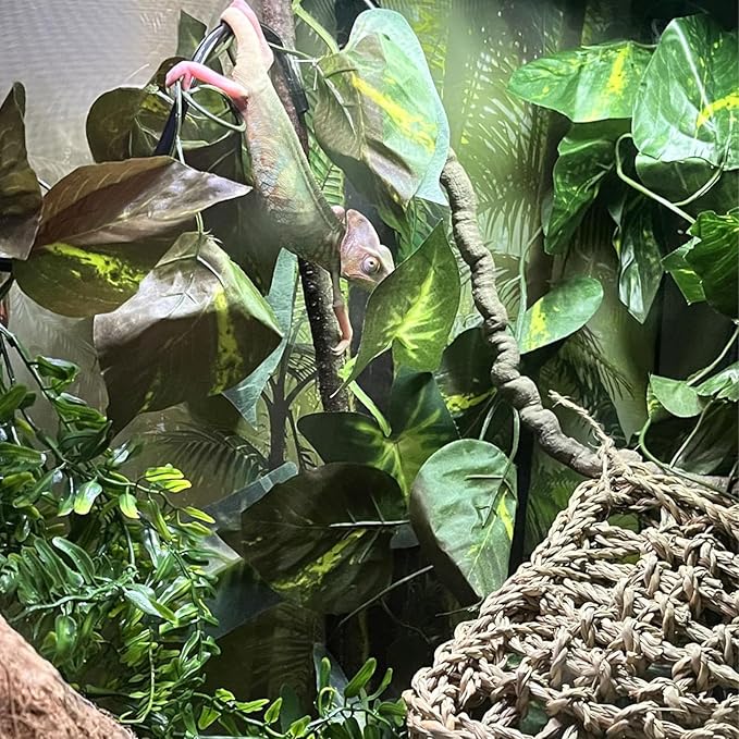 Gecko Coconut Hideout with Ladder,Reptile Hammock Plants Vines Jungle Terrarium Decor Tank Accessories for Crested Geckos,Leopard Geckos,Lizard,Snakes,Tree Frogs