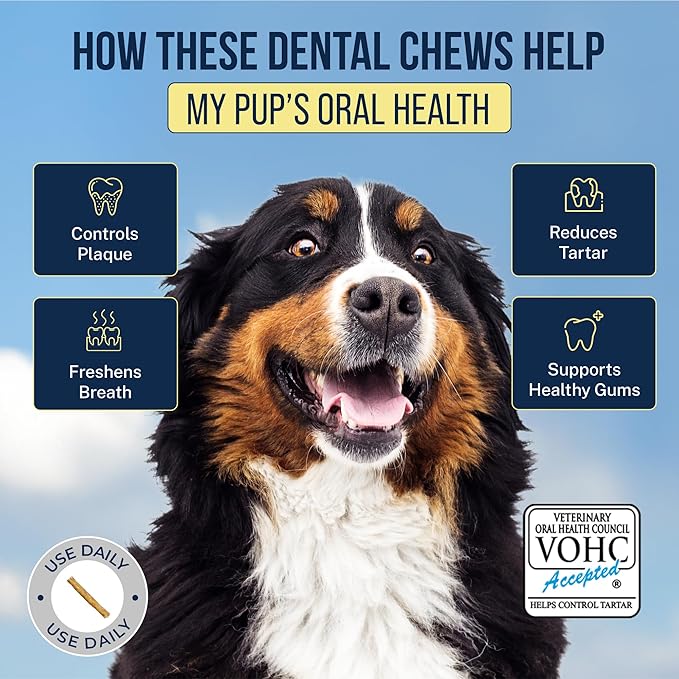 Tartar Shield Soft Rawhide Chews | Safe Dental Treats for Large Dogs | Vet VOHC Approved | Daily Bone Cleans Teeth & Gums Fresh Breath Oral Health Support | USA Made | (XL Dogs / 12 Count)