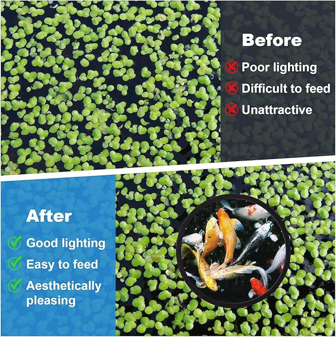 PAGOW 10pcs Fish Feeding Rings Set, Floating Aquarium Plant Corral, Round & Square Fish Feeder Rings for Fish Tank, Floating Plant Ring, Fish Tank Aquarium Accessories for Betta (Black)
