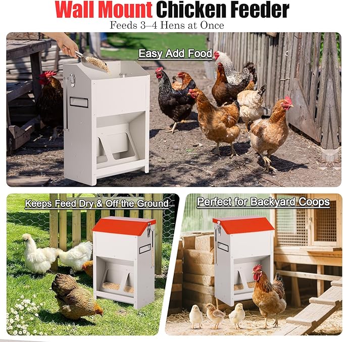 10LB Wall Mount Chicken Feeder, Hanging Poultry Food Dispenser No Waste No Spill for Chickens Ducks Coop Supplies (No Assembly)