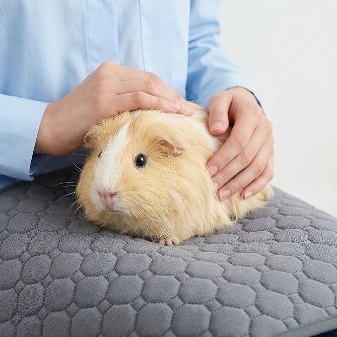Guinea Pig Cage Liners,Washable Guinea Pig Bedding for C&C Cage 2x1 2 Pack, Reusable & Anti Slip & Waterproof, Absorbent Guinea Pig Pee Pad for Small Animal, Rabbit, Bunny, Chinchilla