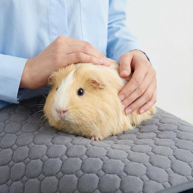 Guinea Pig Fleece Cage Liner, 24X36in 2Pack Guinea Pig Bedding for C&C 2X3 Cage , Super Absorbent & Odor Control & Washable & Reusable Guinea Pig Liner, Pee Pad Mat for Small Animal, Rabbit, Bunny