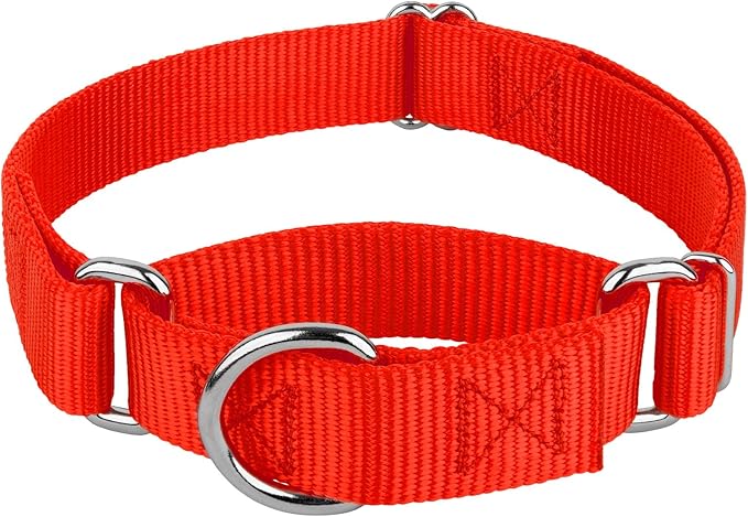 Country Brook Petz - Martingale Dog Collar - Heavy-Duty Training Collar with No Buckle - Service Dog Collar for All Pups - 20 Vibrant Colors (Hot Orange, 1 Inch, Extra Large)