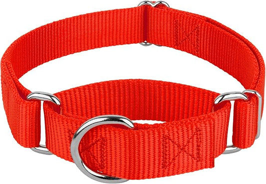 Country Brook Petz - Martingale Dog Collar - Heavy-Duty Training Collar with No Buckle - Service Dog Collar for All Pups - 20 Vibrant Colors (Hot Orange, 1 Inch, Medium)