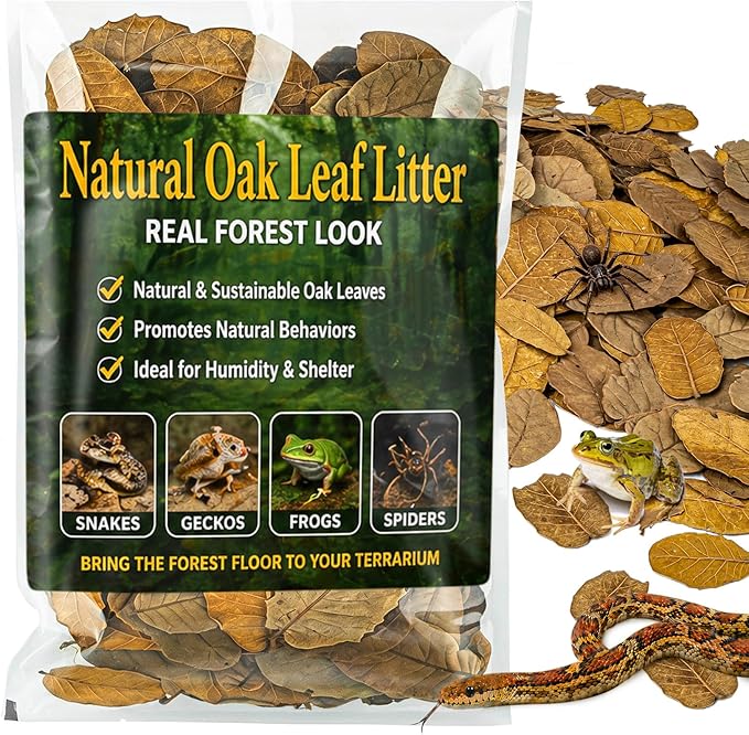 MAQIHAN 7 OZ Dry Oak Leaf Litter - Leaf Litter for Reptiles Oak Leaves for Isopods Live Substrate for Snakes, Frogs, Isopods, Terrarium Bedding