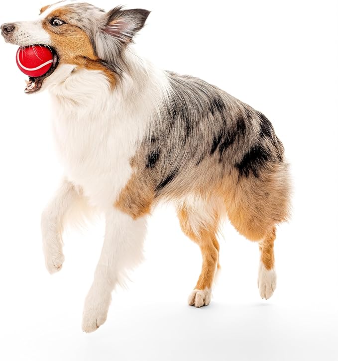 Playology Dog Toys | Squeaky Chew Ball for Large Dogs | Beef Scented Jumbo Dog Ball | Bouncy Floating Chew Toys for Fetch