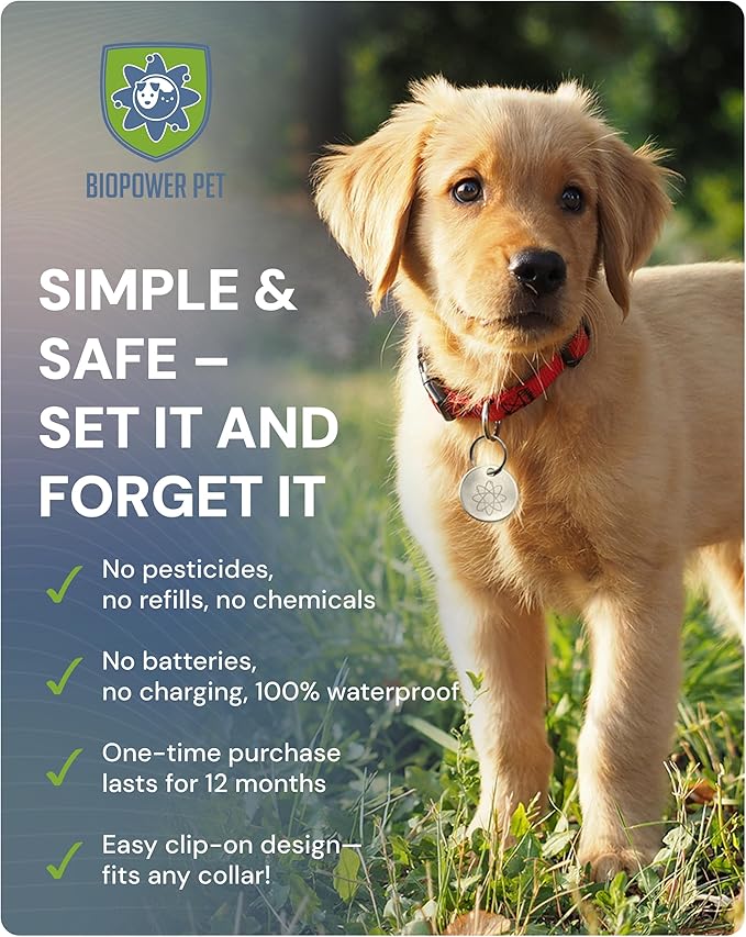 Shield Tag - Natural Flea & Tick Repellent Collar Tag for Dogs & Cats - Waterproof, Lasts 12 Months - Stainless Steel Pendant - Regular Tag (3Pack)